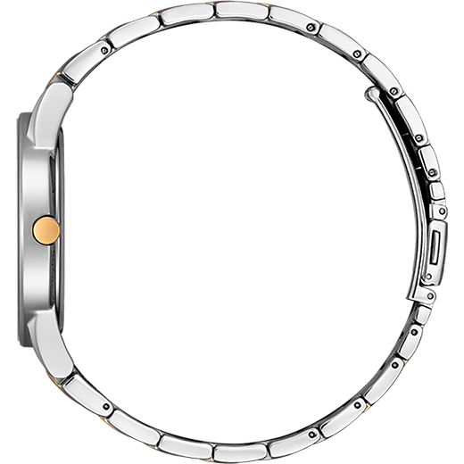 AU1064-85A